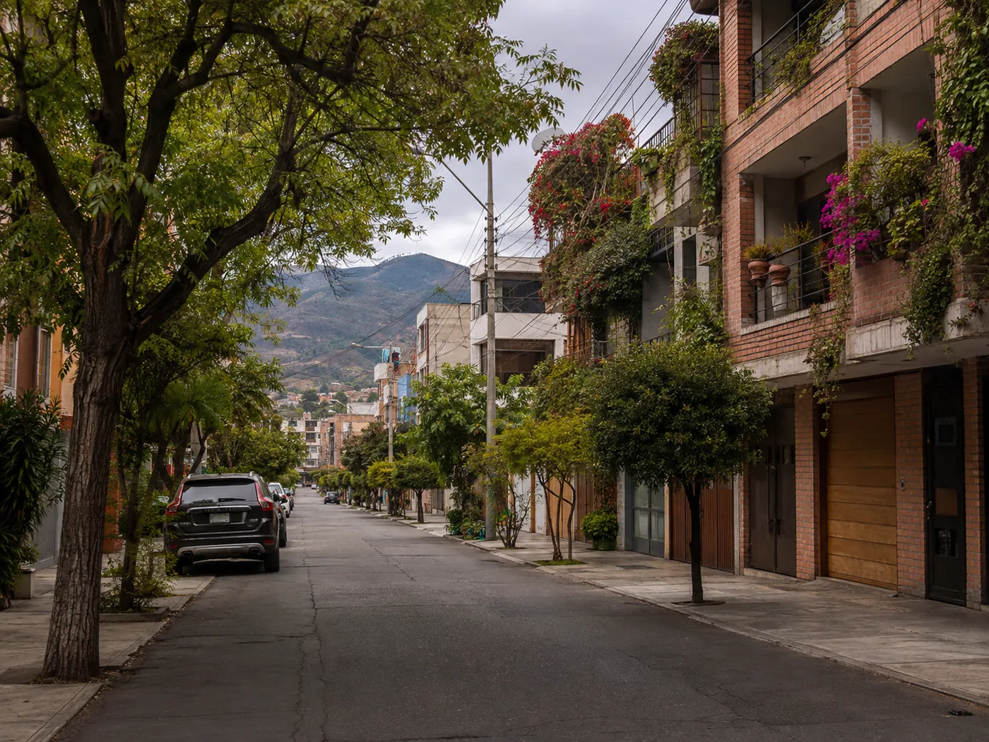 Street in Laureles