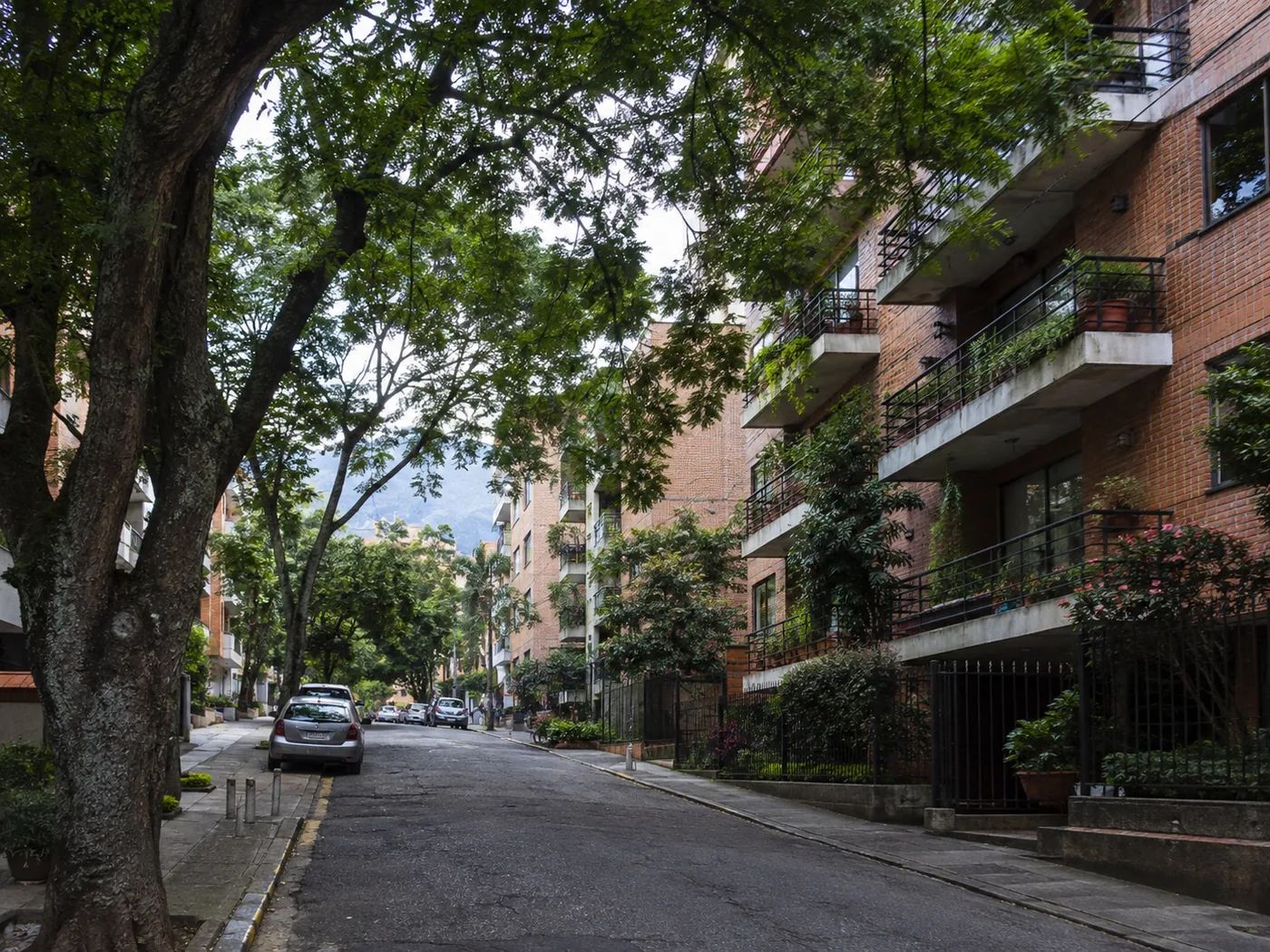 Street in El Poblado