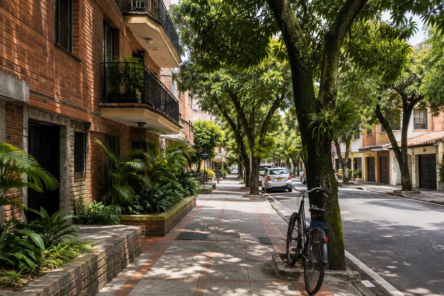 A quiet residential street in Laureles, Medellín, shaded by mature mango trees with a bicycle leaning against one